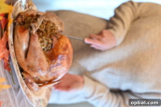 The Ultimate Classic Stuffed Turkey 8 A skilled hand carving slices of tender, juicy turkey meat from a holiday roast.