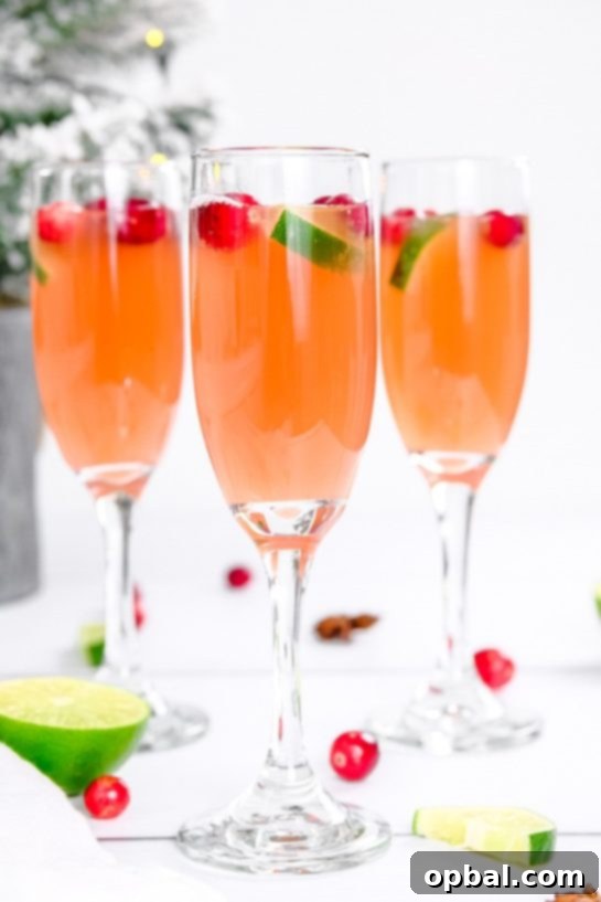 Festive Mimosas 2 A beautifully garnished Holiday Mimosa, ready to brighten any festive gathering or holiday brunch.