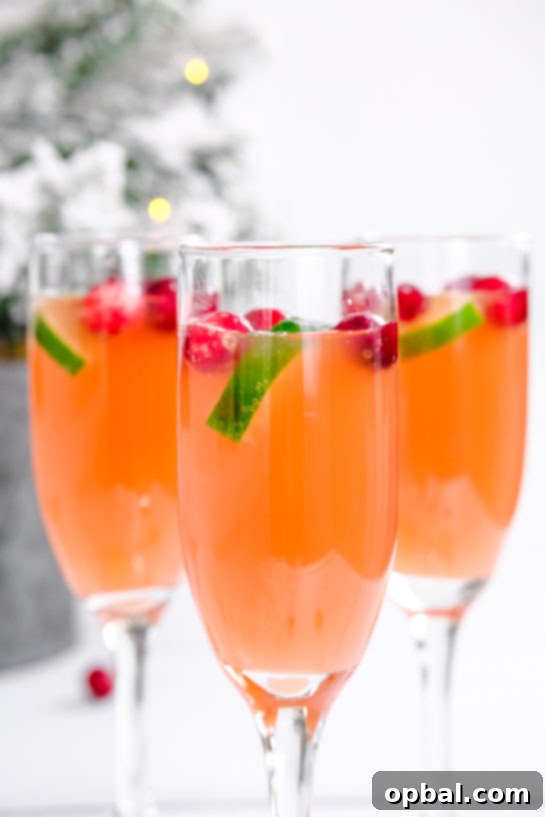 Festive Mimosas 11 Three perfectly garnished Holiday Mimosas, featuring fresh cranberries, arranged together for a festive group toast.