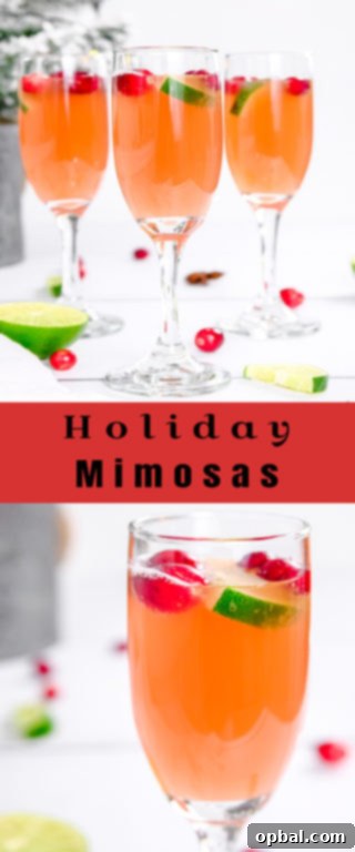 Festive Mimosas 13 A festive image, perfect for sharing, promoting the easy and delightful Holiday Mimosas recipe for a memorable celebration.