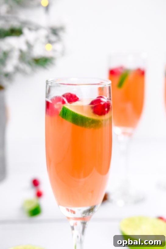 Festive Mimosas 3 Close-up shot of a single Holiday Mimosa, beautifully garnished with fresh cranberries and a slice of lime, highlighting its festive appeal.