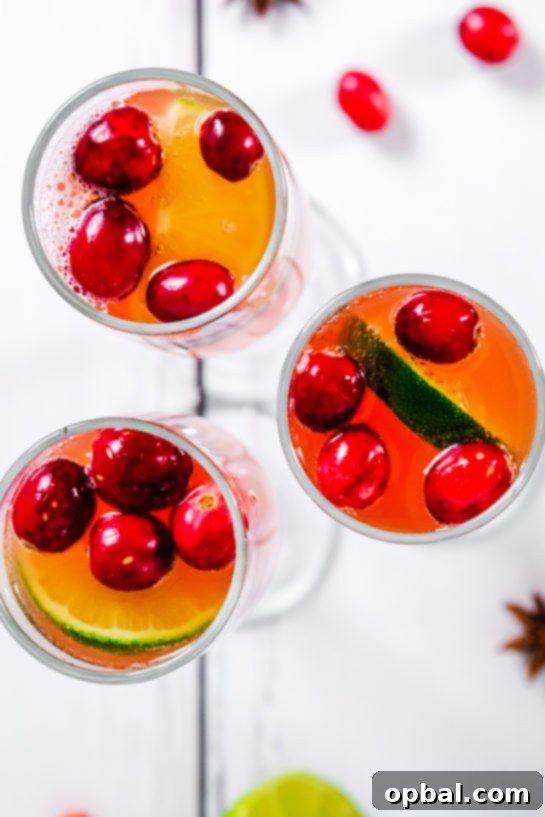 Festive Mimosas 8 An inviting overhead shot showcasing a collection of vibrant Holiday Mimosas, perfectly arranged and ready for a celebration.