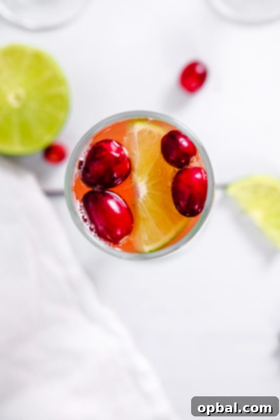 Festive Mimosas 9 An overhead shot of a single Holiday Mimosa, beautifully adorned with fresh cranberries, emphasizing its simple yet elegant garnish.