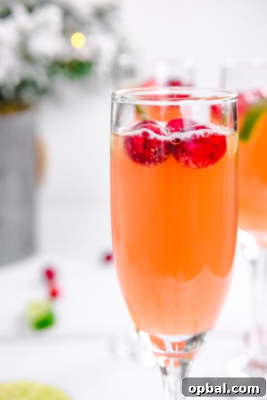 Festive Mimosas 10 A close-up view of a single Holiday Mimosa, showcasing the vibrant cranberry garnish and the delicate bubbles of the drink.