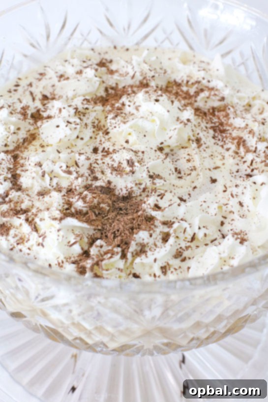 Effortless Iced Coffee Punch 9 A close-up view revealing the luxurious texture of the coffee punch, topped with delicate swirls of whipped cream and fine chocolate shavings.