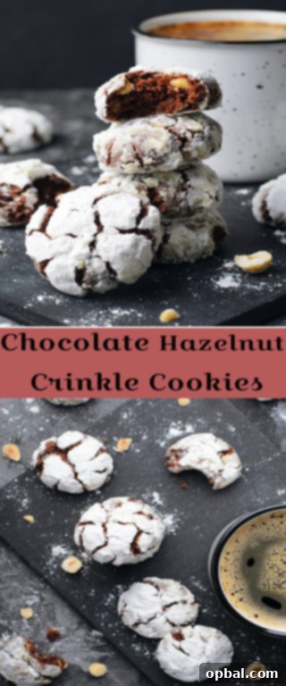 Classic Chocolate Hazelnut Crinkle Cookies recipe are rich, chewy cookies with hazelnuts, cocoa, and chocolate. They are irresistible cookies for Christmas or any holiday with a few simple steps to make!