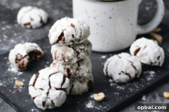 Easy, classic Chocolate Hazelnut Crinkle Cookies recipe are rich, chewy cookies with hazelnuts, cocoa, and chocolate. They are irresistible cookies for Christmas and only a few simple steps to make!