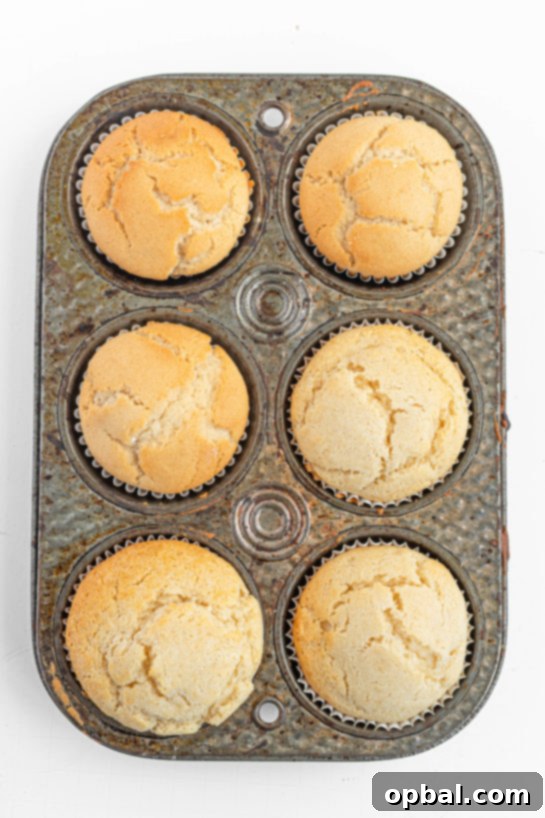 New Years Eve Bubbly Cupcakes 9 The Champagne Cupcakes recipe fresh out of the oven