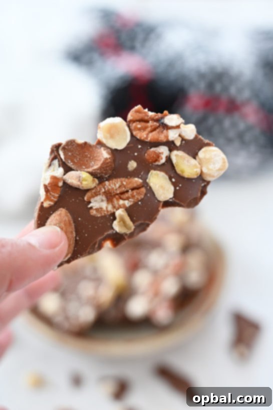 Close-up of 5-ingredient Salted Chocolate Almond Hazelnut Bark, a beautiful festive dessert and edible gift.