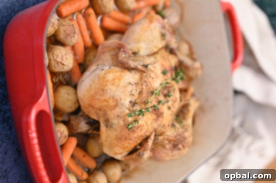 Golden Roasted Chicken with Garden Fresh Vegetables 2 A beautifully roasted whole chicken with crispy golden skin, surrounded by roasted carrots, onions, and potatoes in a roasting pan, ready to serve.