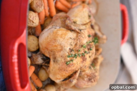 Golden Roasted Chicken with Garden Fresh Vegetables 3 Close-up of a perfectly golden-brown roasted chicken with steam rising, showing its succulent texture and the delicious vegetables around it in a roasting dish.
