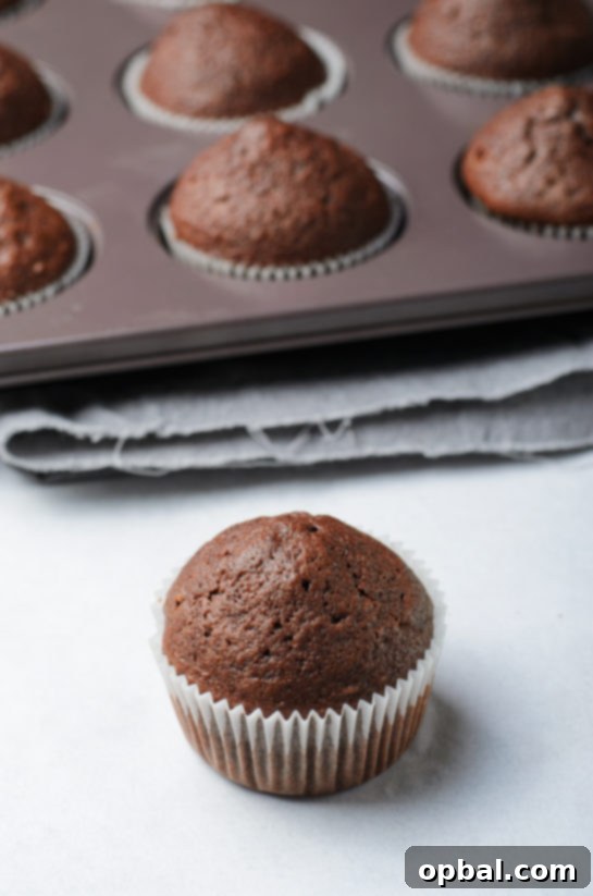 Velvet Chocolate Romance Cupcakes 5 Freshly baked chocolate cupcakes cooling out of the oven