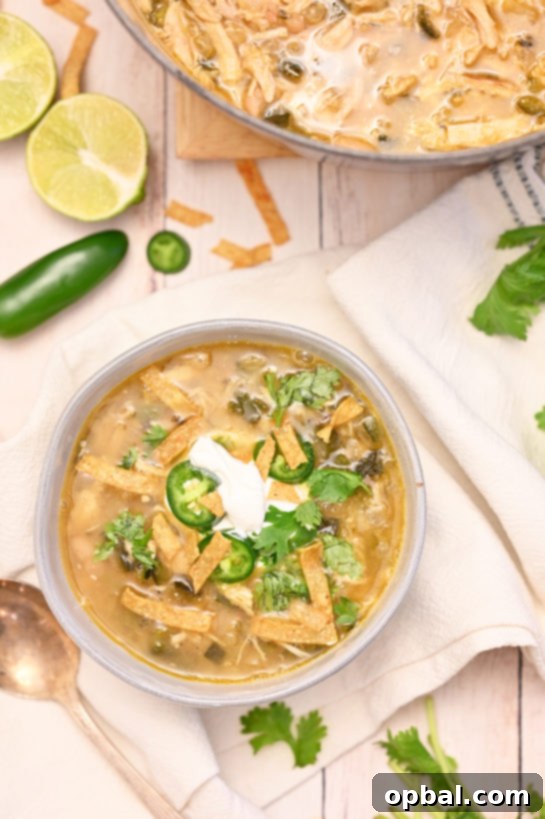 Creamy White Chicken Chili 2 Delicious White Chicken Chili topped with fresh cilantro and sour cream