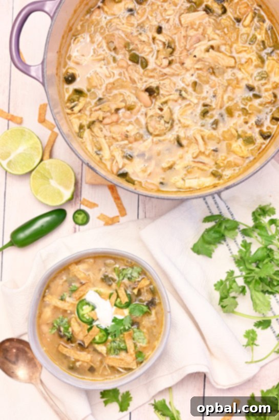 Creamy White Chicken Chili 5 Hearty bowl of White Chicken Chili garnished with avocado and cilantro