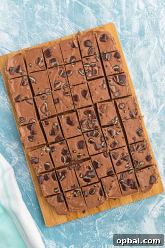 Decadent Andes Mint Fudge 5 A close-up view of the Andes Mint Fudge, highlighting its smooth surface and rich color.