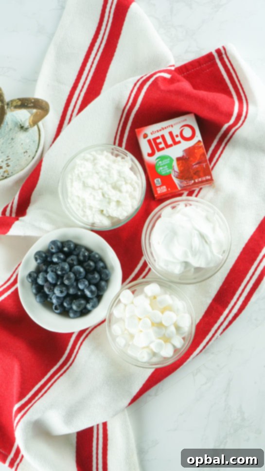 Stars and Stripes Fluff Bliss 3 All the fresh and creamy ingredients laid out for making the Red White and Blue Fluff Salad recipe.