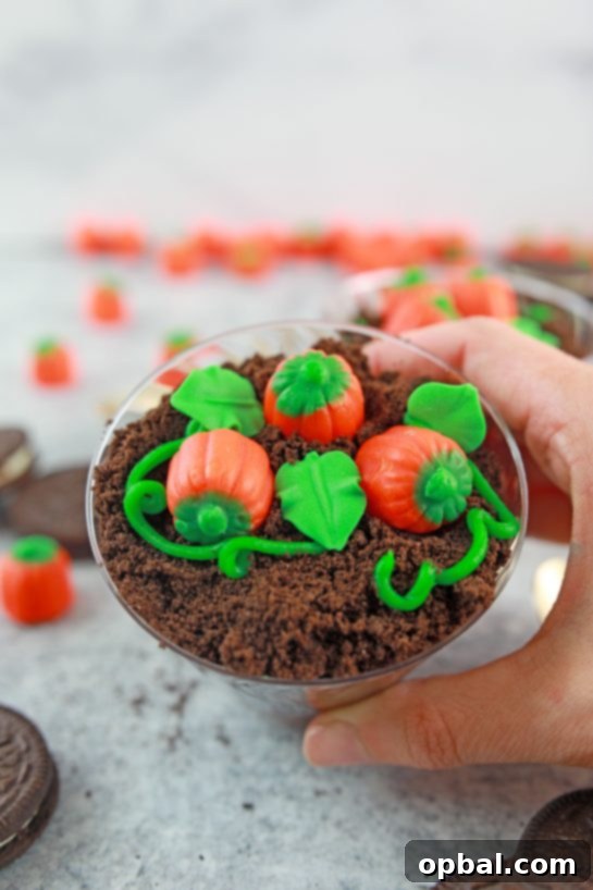 Edible Pumpkin Patch 6 Close-up of the charming Pumpkin Patch Dirt Cups, a delightful and easy recipe for fall and Halloween