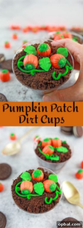 Edible Pumpkin Patch 10 Adorable Pumpkin Patch Dirt Cups are such a cute, kid-friendly dessert recipe for fall, Thanksgiving and Halloween parties!