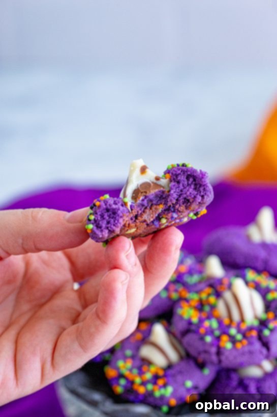 Enchanting Witch Hat Delights 12 Halloween Witch Hat Cookies Recipe for any fall or Halloween party!
