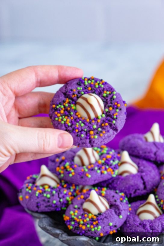 Enchanting Witch Hat Delights 13 Halloween Witch Hat Cookies Recipe for any fall or spooky Halloween party!