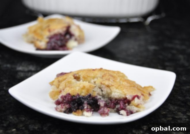 This simple Old-Fashioned Blackberry Cobbler recipe is perfect served warm with a scoop of vanilla ice cream! I make this for every holiday and even in the summer!