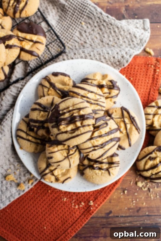 Peanut Butter Pressed Delights 14 Overhead shot of the finished Peanut Butter Thumbprint Cookies recipe