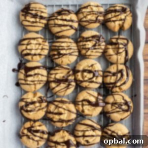 Peanut Butter Pressed Delights 16 Overhead shot of the delicious Peanut Butter Thumbprint Cookies recipe which are my favorite Christmas cookie