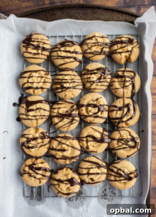 Peanut Butter Pressed Delights 4 Overhead shot of the delicious Peanut Butter Thumbprint Cookies recipe which are my favorite Christmas cookie