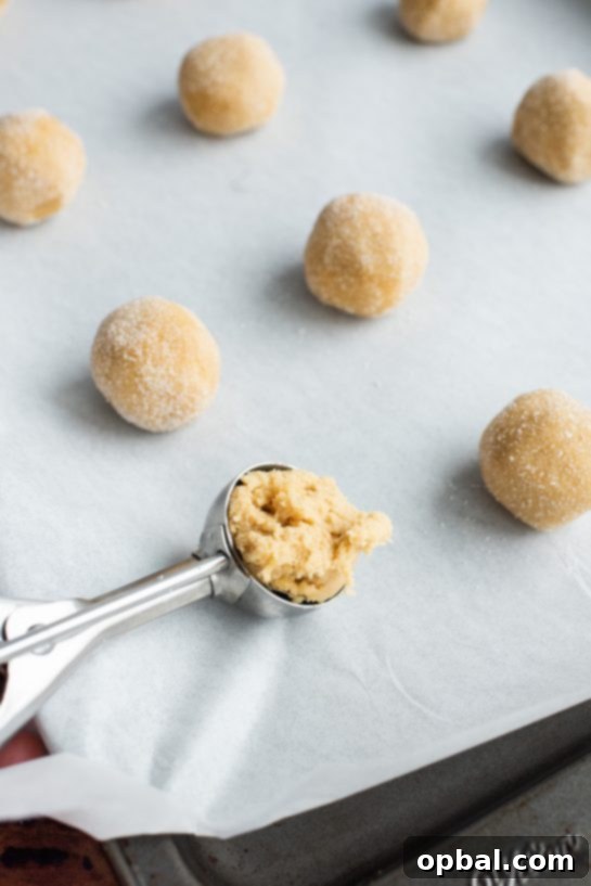 Peanut Butter Pressed Delights 8 Scooping the dough for the Peanut Butter Thumbprint Cookies recipe