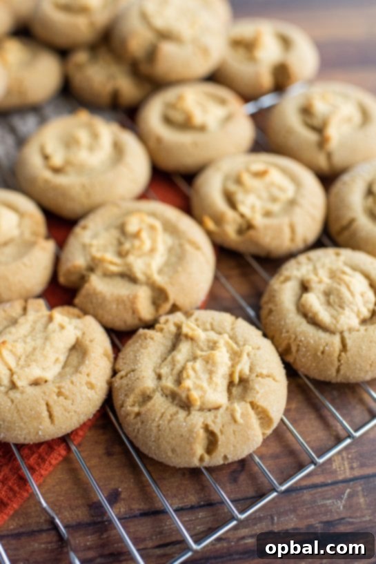 Peanut Butter Pressed Delights 10 The Peanut Butter Thumbprint Cookies recipe ready to be drizzled with chocolate