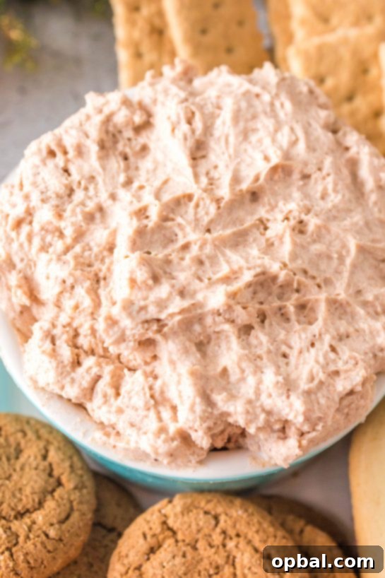Frosted Cinnamon Roll Dip 9 Close-up photo of Cinnamon Roll Dip recipe