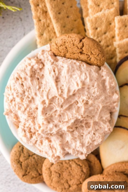 Frosted Cinnamon Roll Dip 10 Overhead photo of Cinnamon Roll Dip recipe for Christmas