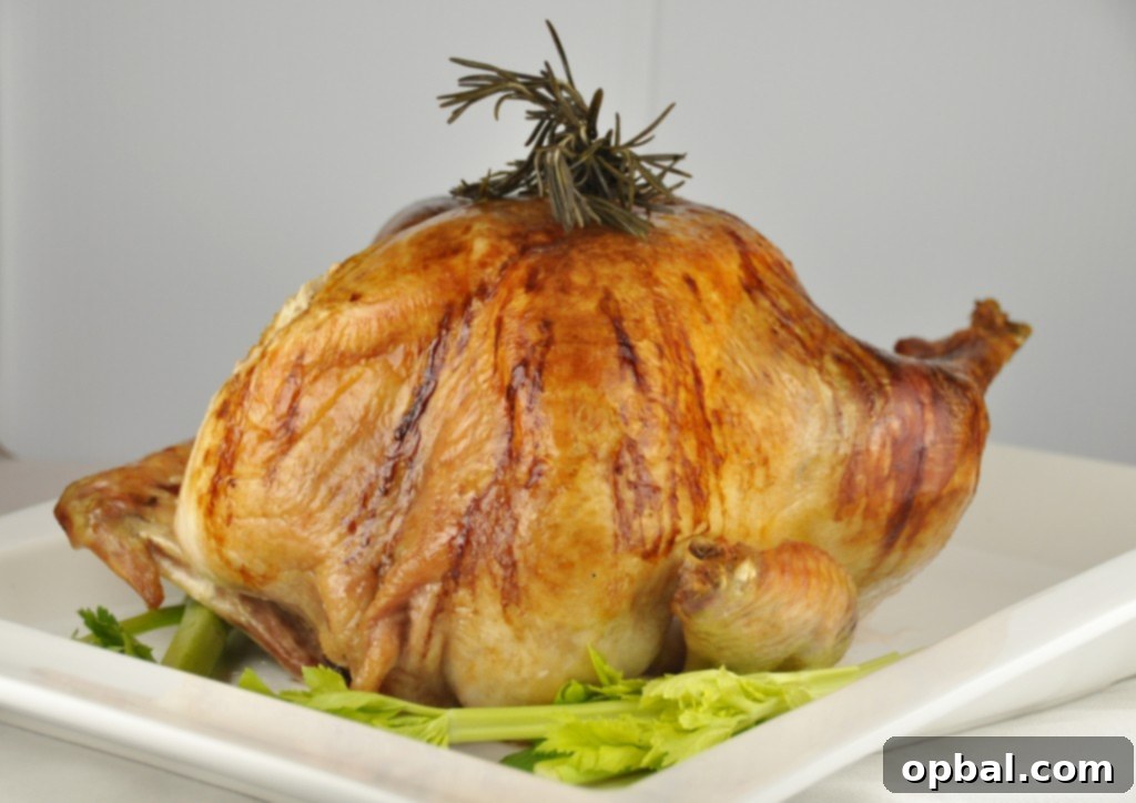 Perfect Thanksgiving or Christmas Turkey Thanksgiving Turkey stuffed with rosemary, sage, apple, onion and cinnamon stick. Perfect for any holiday meal.