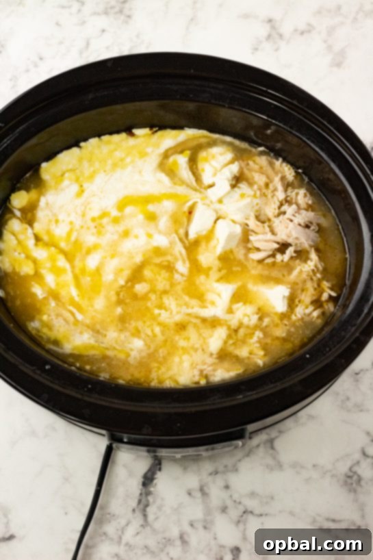 Slow Cooker Zesty Green Chili Chicken Enchilada Soup 5 All ingredients for Crock Pot Green Chili Chicken Enchilada Soup, including chicken, green enchilada sauce, chicken stock, and salsa verde, combined in a slow cooker before cooking.