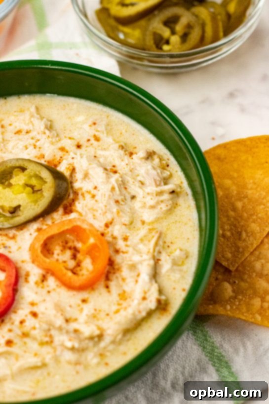 Slow Cooker Zesty Green Chili Chicken Enchilada Soup 6 A close-up shot of a steaming bowl of Crock Pot Green Chili Chicken Enchilada Soup, showcasing shredded chicken and a rich, cheesy broth, ready to be enjoyed.