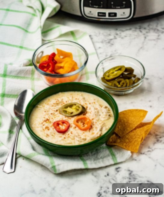 Slow Cooker Zesty Green Chili Chicken Enchilada Soup 7 Another enticing view of Crock Pot Green Chili Chicken Enchilada Soup, served in a white bowl with a spoon, highlighting the creamy texture and vibrant green chili notes.