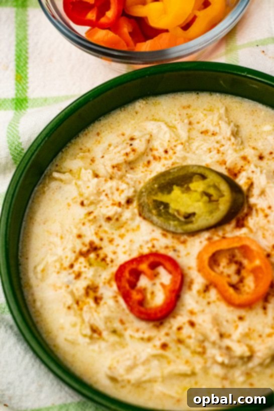 Slow Cooker Zesty Green Chili Chicken Enchilada Soup 8 A comforting bowl of slow cooker green chili chicken enchilada soup, perfect for a cold winter day, with a rich, inviting texture and vibrant color.