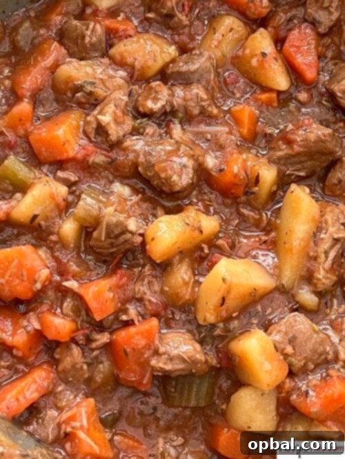 Beyond the Pint: 15+ Guinness-Infused Dishes 11 Slow Cooker Irish Lamb Strew with Guinness recipe
