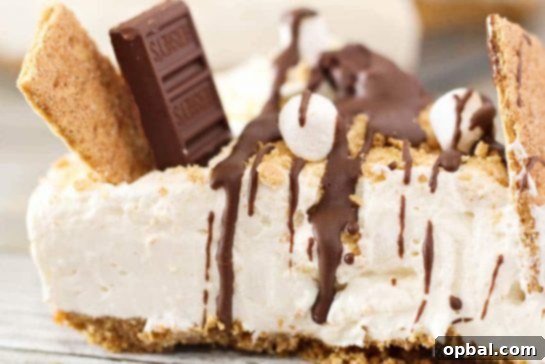 Ultimate S'mores Indulgences 12 This s'mores cheesecake is a no bake dessert that combines two favorite classics! This no-bake s’mores cheesecake recipe is an easy dessert that is made using ingredients of your favorite fireside treat!