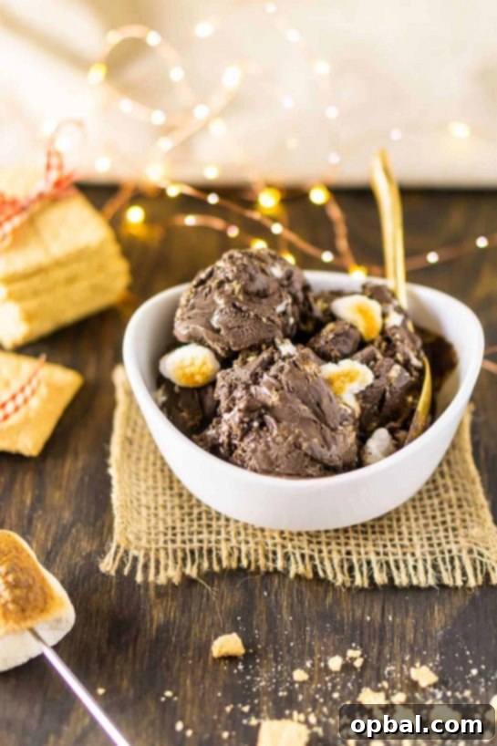 Ultimate S'mores Indulgences 13 Featuring a decadent chocolate base, this s’mores ice cream is studded with crushed graham cracker and toasted marshmallows for one crowd-pleasing summer dessert.