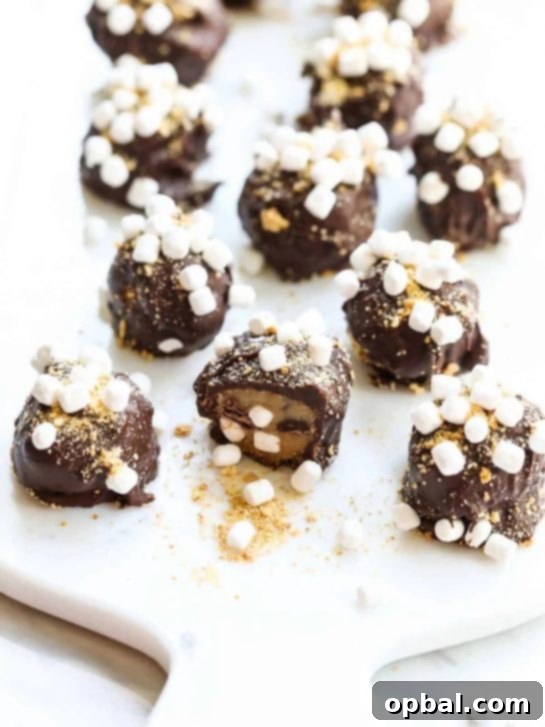 Ultimate S'mores Indulgences 14 S'more Cookie Dough Truffles are an easy no-bake dessert candy. These have cookie dough studded with chocolate chips and mini marshmallows. Then rolled in crushed graham crackers and a dip into melted chocolate. Each one has sprinkles of mini marshmallows and crushed graham crackers so they taste like campfire s'mores.