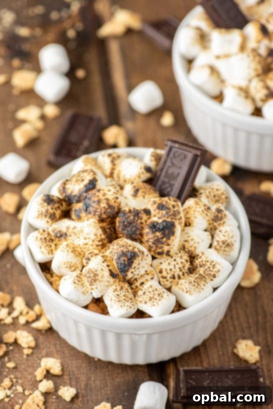 Ultimate S'mores Indulgences 16 This s'mores crème brûlée consists of a chocolate custard topped with crushed graham crackers and toasted marshmallows, bringing back those wonderful campfire memories.