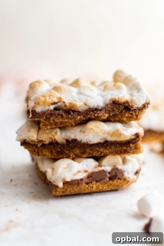 Ultimate S'mores Indulgences 5 These S’mores Bars are the perfect way to get your s’mores fix without having to build a campfire. The graham cracker and biscoff cookie crust is crunchy and sweet, and the chocolate and marshmallow topping is decadent and delicious making a perfect pairing.