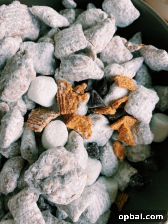 Ultimate S'mores Indulgences 10 This S'mores Puppy Chow is perfect for snacking, potlucks, and so easy for on the go. There's something about the pairing of melted chocolate and marshmallows in addition to a hint of honey graham crackers that will really make your mouth water.