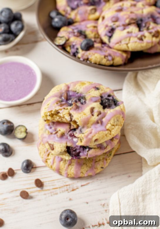 Sweet & Tangy Blueberry Chocolate Chip Cookies 11 Overhead shot of the Blueberry Oatmeal Chocolate Chip Cookies that are thick, soft, and chewy oatmeal cookies that are perfectly spiced and stuffed full of fresh blueberries!
