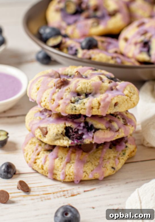 Sweet & Tangy Blueberry Chocolate Chip Cookies 13 Easy Blueberry Oatmeal Chocolate Chip Cookies are deliciously thick, soft, and chewy oatmeal cookies that are perfectly spiced and stuffed full of fresh blueberries!