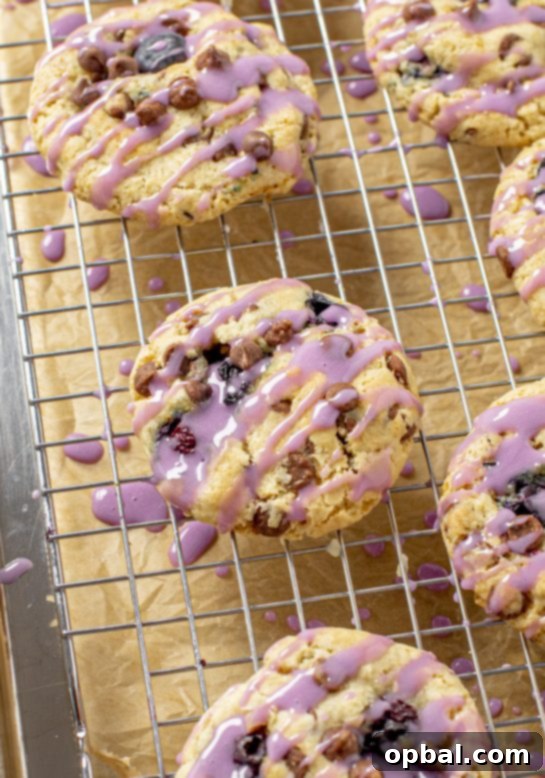 Sweet & Tangy Blueberry Chocolate Chip Cookies 14 Blueberry Oatmeal Chocolate Chip Cookies are deliciously thick, soft, and chewy oatmeal cookies that are stuffed full of blueberries!