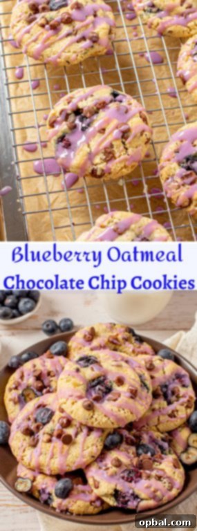 Sweet & Tangy Blueberry Chocolate Chip Cookies 16 Blueberry Chocolate Chip Cookies are deliciously thick, soft, and chewy oatmeal cookies that are full of fresh blueberries with a blueberry glaze!