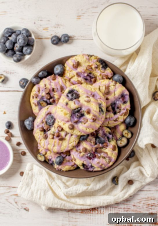 Sweet & Tangy Blueberry Chocolate Chip Cookies 5 Glazed Blueberry Oatmeal Chocolate Chip Cookies recipe for a delicious dessert year 'round