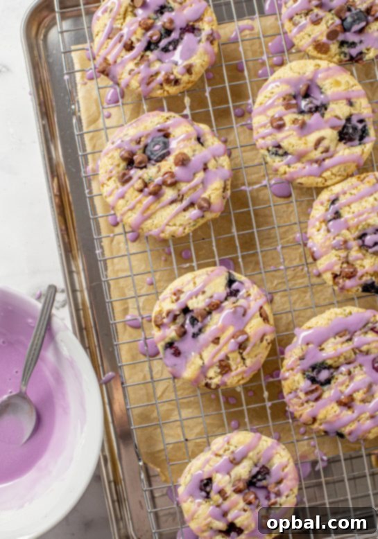 Sweet & Tangy Blueberry Chocolate Chip Cookies 6 Blueberry Oatmeal Chocolate Chip Cookies are deliciously thick, soft, and chewy oatmeal cookies that are perfectly spiced and stuffed full of fresh or frozen blueberries!